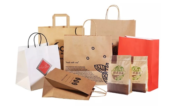 Paper & Reusable Bag