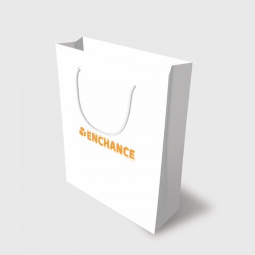 Paper Bag with Twisted PP Handle